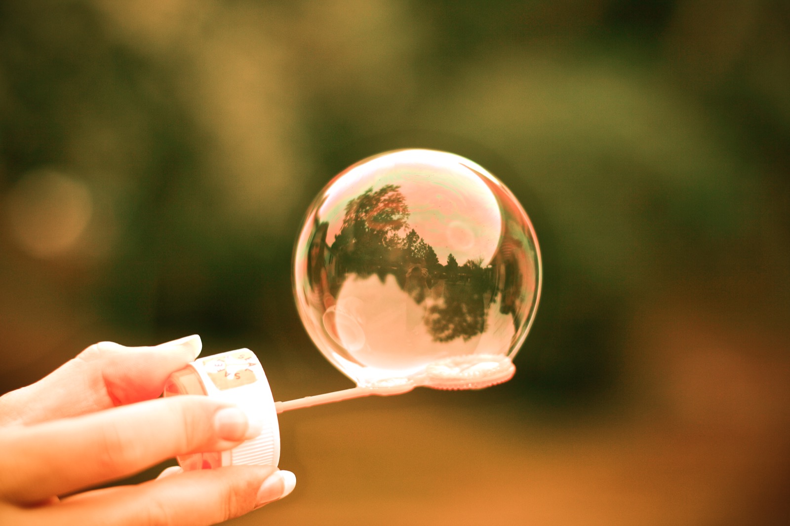 Bubbles